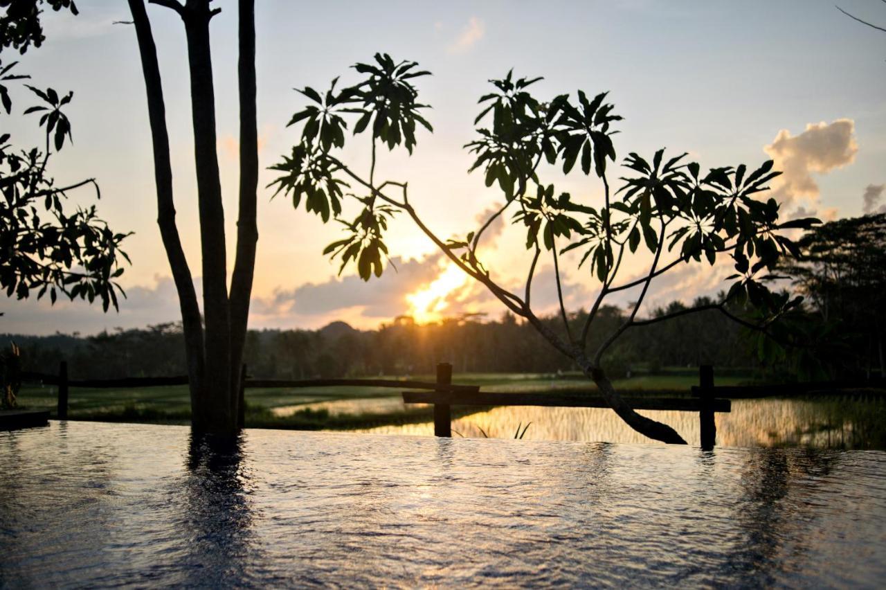 Omah Apik Hotel Ubud  Exterior photo