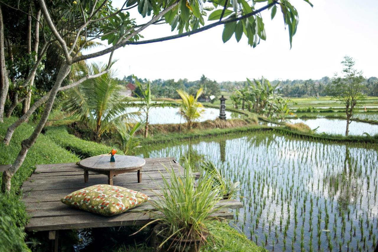 Omah Apik Hotel Ubud  Exterior photo