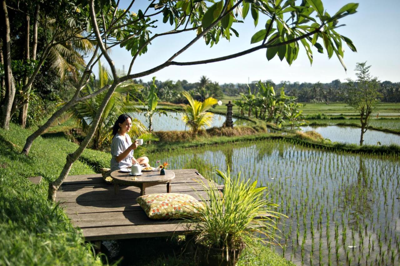 Omah Apik Hotel Ubud  Exterior photo